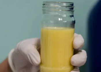 Baixo estoque de leite humano pode comprometer a saúde de bebês prematuros