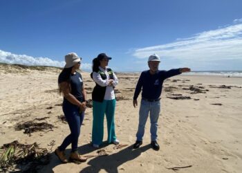 Praias do litoral norte de Sergipe são monitoradas por técnicos da Adema