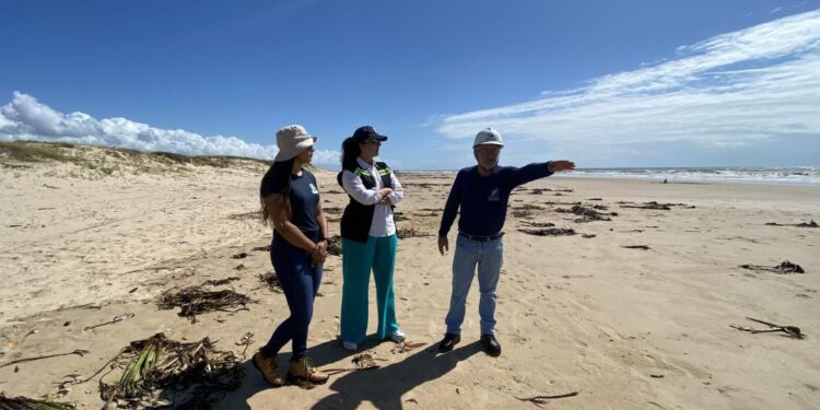 Praias do litoral norte de Sergipe são monitoradas por técnicos da Adema