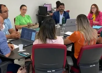MPSE e municípios de Tomar do Geru e Cristinápolis discutem sobre parceria no acolhimento de crianças