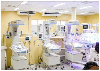 Cerca de 300 profissionais atuam na UTI Neonatal da Maternidade Nossa Senhora de Lourdes