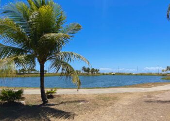 Chegada do verão 2023 reforça o otimismo no setor turístico