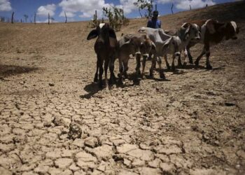 Mais de 30 mil atingidos pela estiagem não recebem assistência em Sergipe