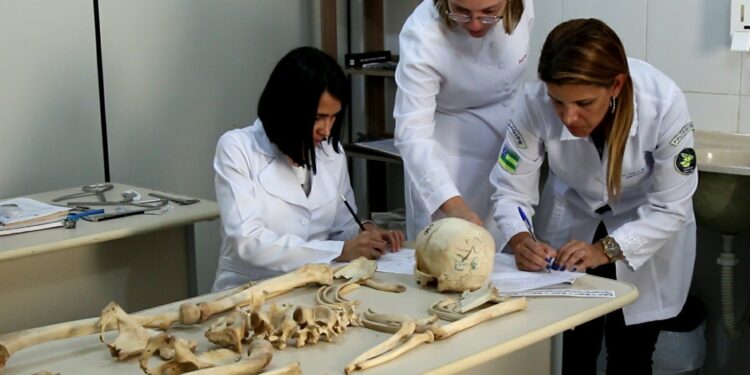 Polícia Científica detalha áreas de atuação no Instituto Médico Legal