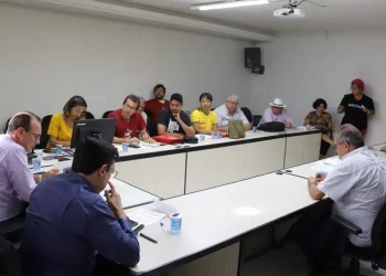 Gestão da Educação e Síntese dialogam sobre avanços para o ensino em 2023