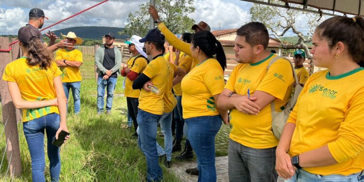 Senar Sergipe abre inscrições para cursos profissionalizantes gratuitos no setor agropecuário