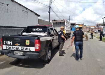 Ação conjunta combate crimes de maus-tratos contra equinos na Zona Sul de Aracaju
