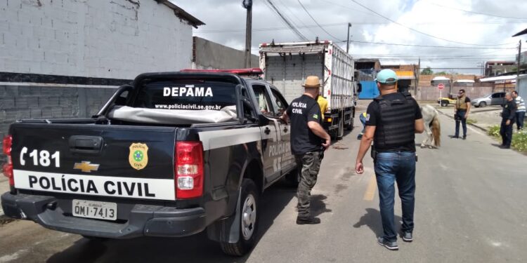 Ação conjunta combate crimes de maus-tratos contra equinos na Zona Sul de Aracaju