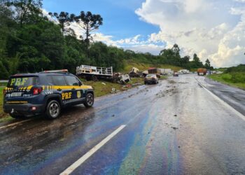PRF registrou uma morte a cada duas horas nas rodovias federais em 2022