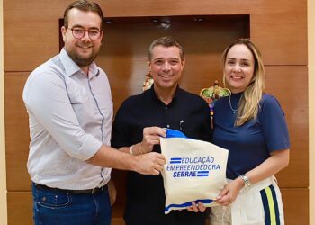 Governo e Sebrae discutem propostas de incentivo à educação empreendedora