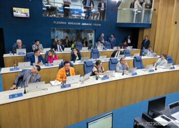 Câmara de Aracaju aprova notificação compulsória em casos de maus-tratos contra animais