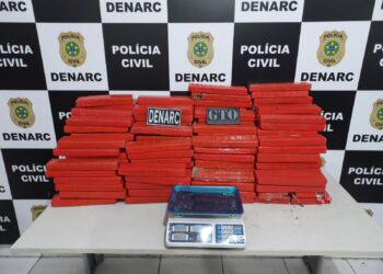 Investigação do Denarc resulta em apreensão de 175kg de drogas na Zona Sul de Aracaju