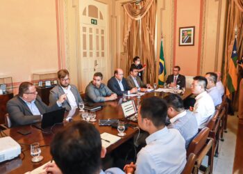 Fábio discute com grupo de investidores chineses a construção de duas usinas termelétricas em Sergipe