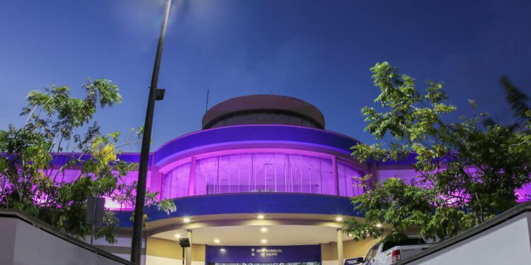 Secretaria da Saúde divulga balanço de ações durante cem dias de governo