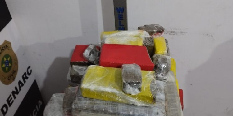 Segurança Pública contabiliza quase 300kg de drogas apreendidos em 48h