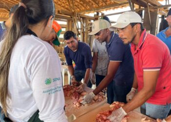 Produtores de leite atendidos pela ATeG realizam curso de Inseminação Artificial no sertão de Sergipe