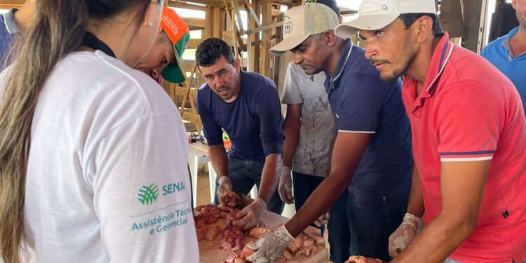 Produtores de leite atendidos pela ATeG realizam curso de Inseminação Artificial no sertão de Sergipe