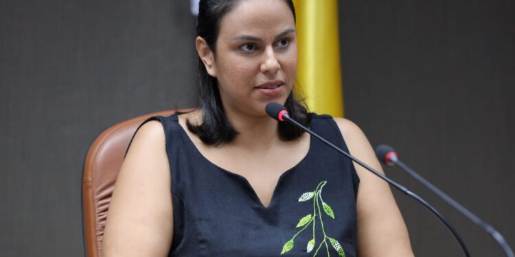 Secretária da Fazenda presta contas do 3º quadrimestre de 2022