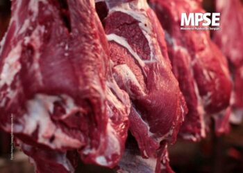 Arábia Saudita, Jordânia, Malásia e Palestina retiram embargo à carne bovina do Brasil
