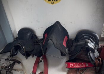 Polícia Civil identifica suspeito de furto e localiza celas subtraídas de sítio em Boquim