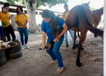 Senar Sergipe abre inscrições para nova turma do Senar Jovem em Equinocultura