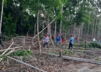 MST volta a invadir propriedades produtivas