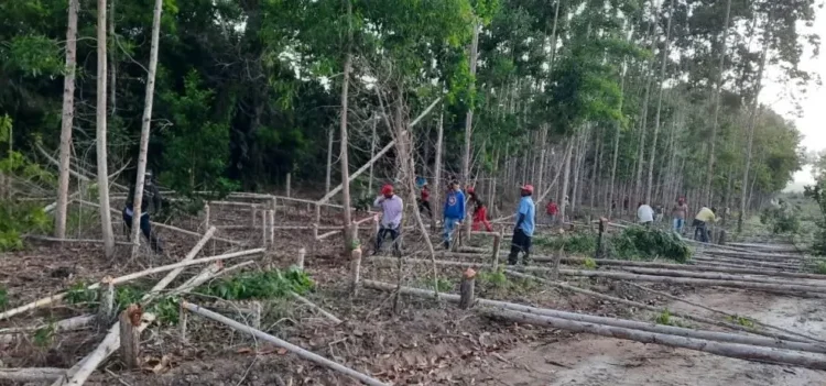 MST volta a invadir propriedades produtivas