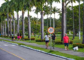 Parque da Sementeira é destino convidativo ao lazer e à prática de atividades físicas