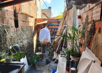 Notificação de casos do Aedes aegypti auxilia a Prefeitura no combate ao mosquito