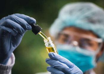 Lei que regulamenta a cannabis medicinal em Sergipe é sancionada pelo governador