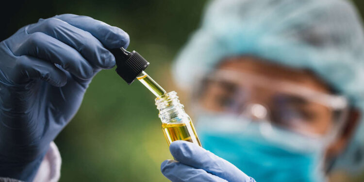 Lei que regulamenta a cannabis medicinal em Sergipe é sancionada pelo governador