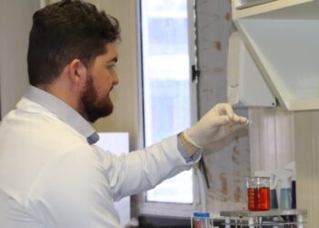 Pesquisadores da UFS investigam efeitos do uso medicinal da cannabis