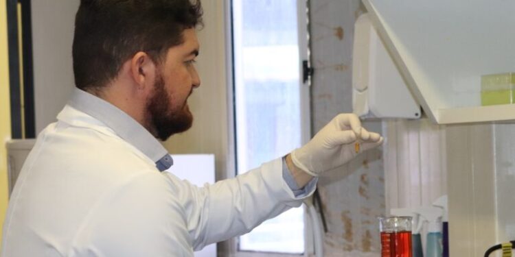 Pesquisadores da UFS investigam efeitos do uso medicinal da cannabis