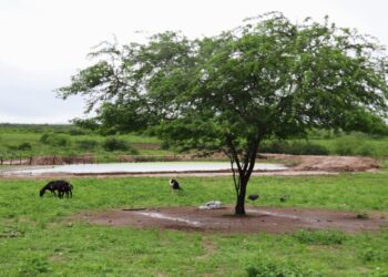 Governo de Sergipe reforça recuperação de barragens no alto sertão