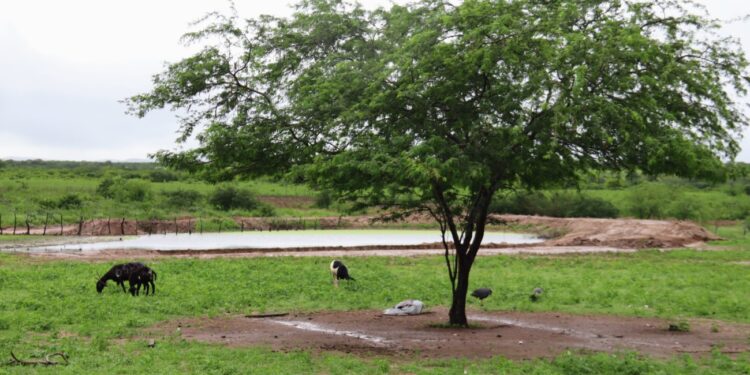 Governo de Sergipe reforça recuperação de barragens no alto sertão