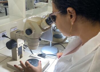 Profissionais do Laboratório Central recebem treinamento para identificação de caramujos