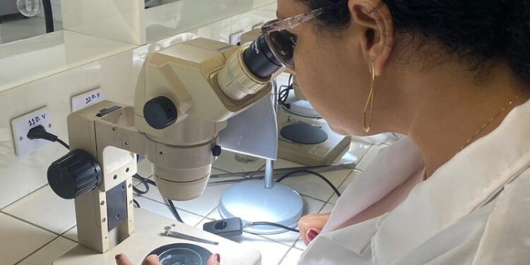 Profissionais do Laboratório Central recebem treinamento para identificação de caramujos