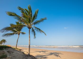 Confira quais praias estão próprias para banho em Sergipe
