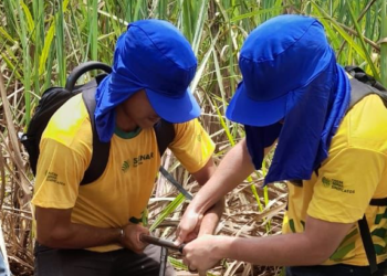Senar Sergipe abre inscrições para empresas rurais atenderem à Lei da Aprendizagem