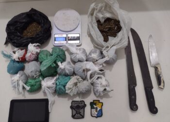 Polícia Militar prende em flagrante suspeito por tráfico de drogas no Fernando Collor