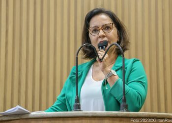 Emília Corrêa: Esperam tragédias acontecer para iniciar falsas soluções