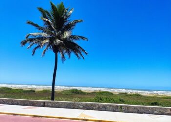 Análises da Adema apontam que praias de SE estão próprias para banho