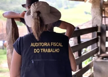 Sergipe fora da lista de estados que registraram trabalho escravo