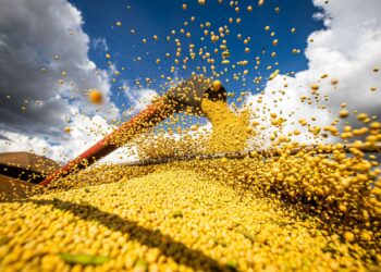 Conab estima recorde na produção de grãos