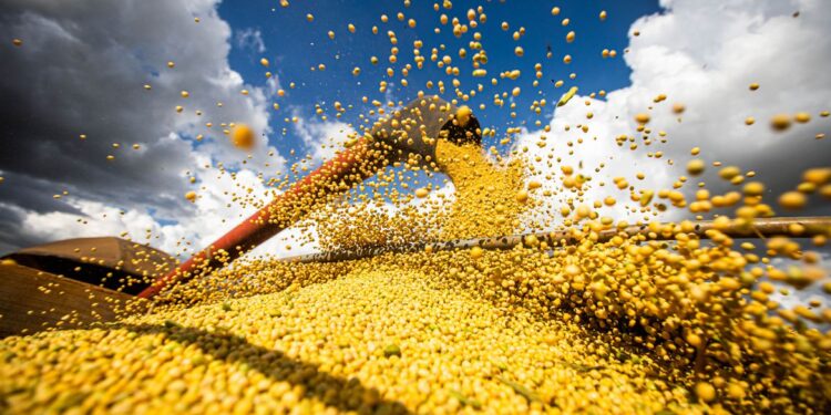Conab estima recorde na produção de grãos