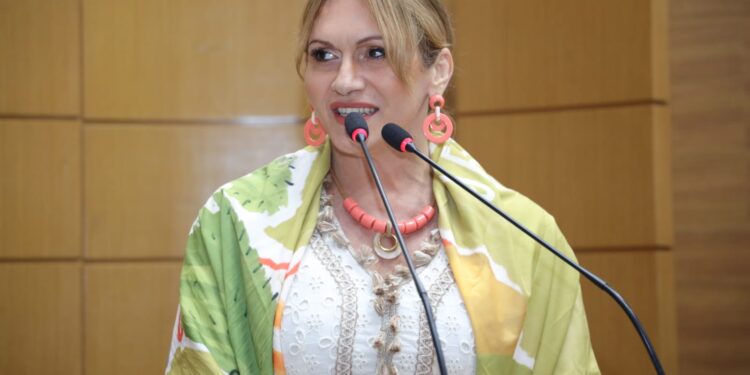 Licitação do transporte intermunicipal é discutida no plenário da Alese