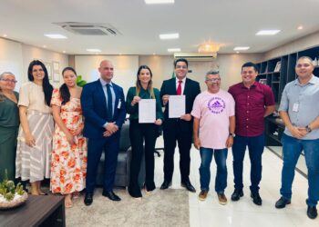 Comissão de Saúde Regional de Propriá dialoga com deputados