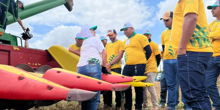 Senar Sergipe abre credenciamento de prestador de serviço para instrutoria nas áreas de grãos e máquinas e implementos agrícolas