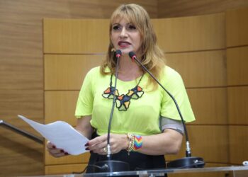 Linda Brasil pede mais rigor nos editais da Saúde