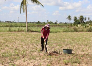 Governo oferece orientação a agricultores do perímetro irrigado de Lagarto sobre análise de solo